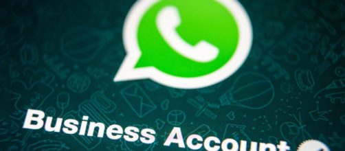 WhatsApp - virgilio.it, business account