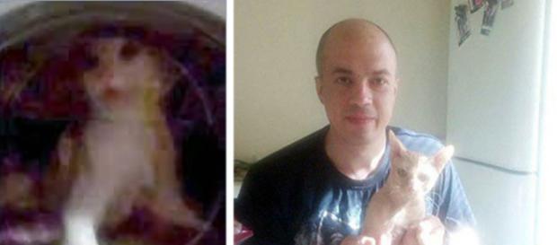 I-a trimis prietenei sale un video înfiorător cu pisica spălată într-o mașină pe un ciclu cu apă fierbinte - Foto: east2west news I-a trimis prietenei sale un video înfiorător cu pisica spălată într-o mașină pe un ciclu cu apă fierbinte - Foto: east2west news