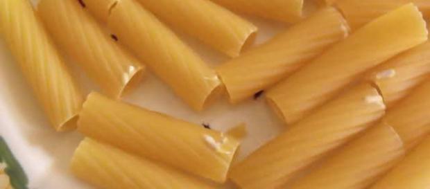Pasta infetta da parassiti: scopriamo i possibili effetti indesiderati da conoscere Pasta infetta da parassiti: scopriamo i possibili effetti indesiderati da conoscere