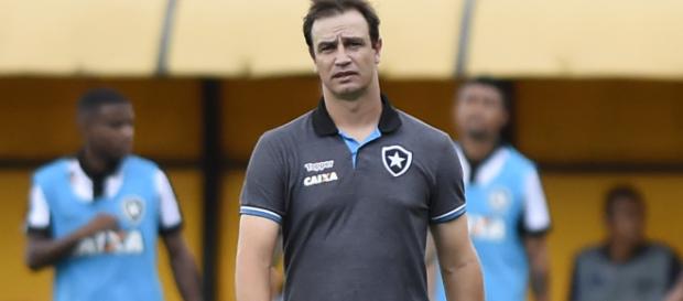 Treinador ficou apenas sete jogos no comando do time. (Foto Reprodução). Treinador ficou apenas sete jogos no comando do time. (Foto Reprodução).