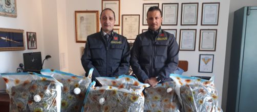 La droga nella spazzatura sequestrata dalla Guardia di Finanza