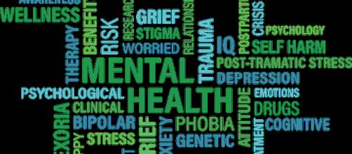 A mental health web. - [Image courtesy of Pixabay.com]