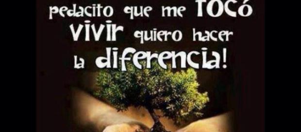 Contacto – Página 2 – Soy libre y vivo en paz y en Armonía conmigo ... - wordpress.com Contacto – Página 2 – Soy libre y vivo en paz y en Armonía conmigo ... - wordpress.com