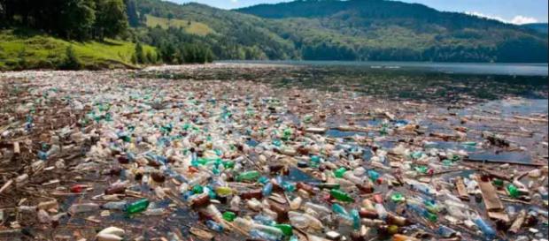 Los científicos aseguran que se están acumulando desechos plásticos en el Ártico noruego. Los científicos aseguran que se están acumulando desechos plásticos en el Ártico noruego.