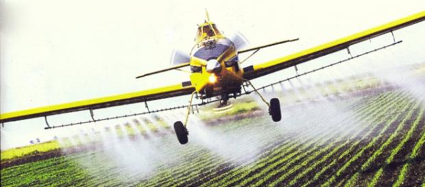 Se debe disminuir por completo el uso de los pesticidas en la agricultura. Se debe disminuir por completo el uso de los pesticidas en la agricultura.