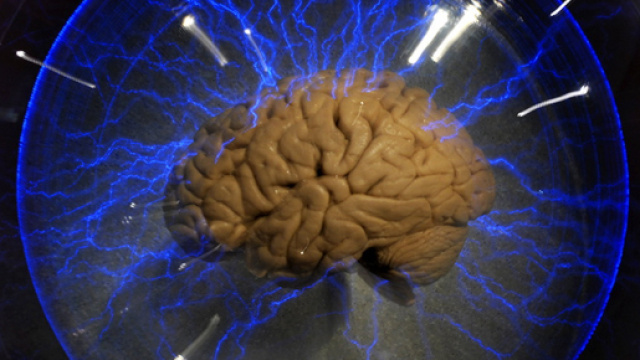 Come offrire la migliore assistenza a chi ha una crisi epilettica - foto:wired.it