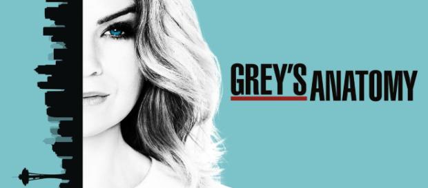Grey's Anatomy - thebloginetor.com Grey's Anatomy - thebloginetor.com