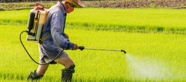 Los equipos de protección adecuados son sumamente importantes en este ámbito. Los equipos de protección adecuados son sumamente importantes en este ámbito.