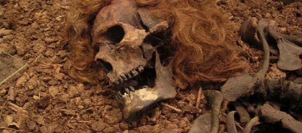 Descubrimientos de las momias en Egipto. Descubrimientos de las momias en Egipto.