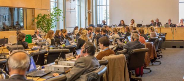 The United Nations Committee on the Rights of the Child meeting about human rights concerns for children The United Nations Committee on the Rights of the Child meeting about human rights concerns for children