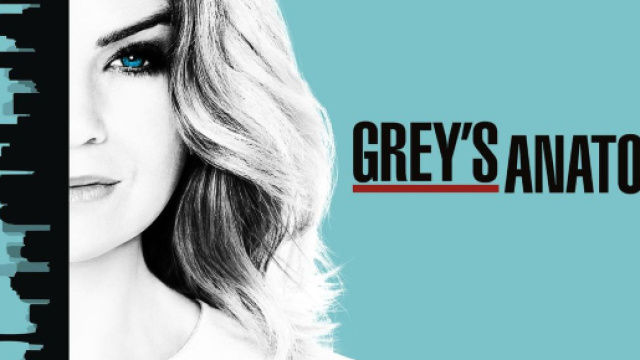 Grey's Anatomy - thebloginetor.com