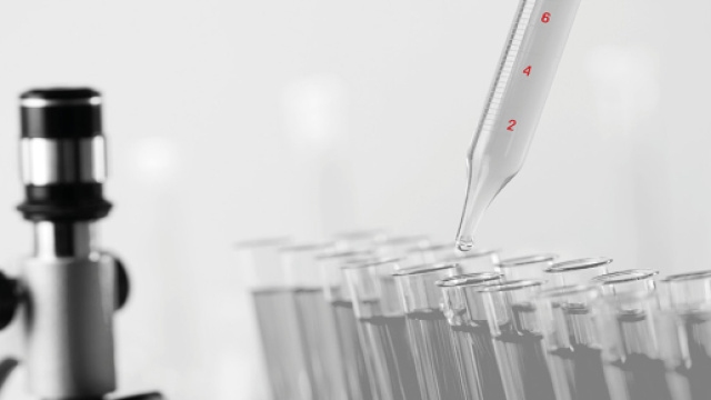 Test DNA paternit&agrave; figlio illegittimo Verona Villafranca Di Verona ... - delmarcoinvestigazioni.com