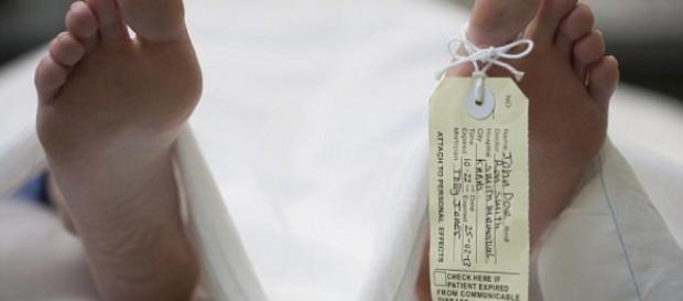 Descubren que los genes permanecen activos Descubren que los genes permanecen activos