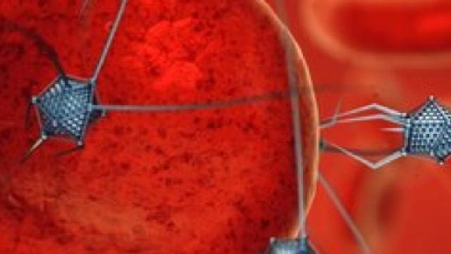 Nano-robot fatti di Dna distruggono 4 forme di tumore | Si24 - si24.it