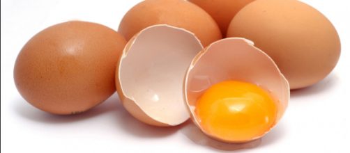 Salmonella in allevamento di galline ovaiole nel Distretto di Correggio