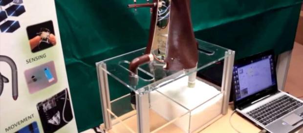 Plantoidi, robots che traggono ispirazioni dalle piante per forme e funzioni Plantoidi, robots che traggono ispirazioni dalle piante per forme e funzioni