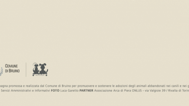 Manifesto ufficiale per la campagna di adozioni animali del Comune di Bruino