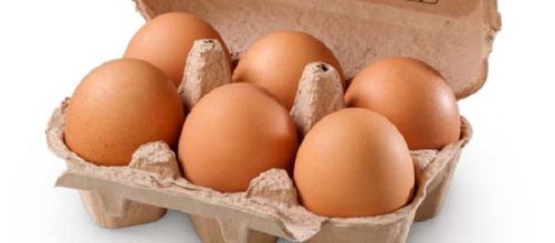 Salmonella in un allevamento di galline da uova