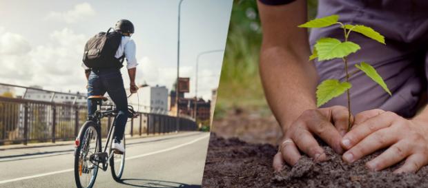 7 consejos para reducir las emisiones de CO2. 7 consejos para reducir las emisiones de CO2.