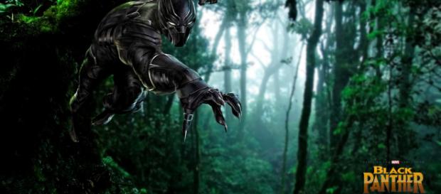Black Panther in action! (Image via Bryan K Ward/Flickr) Black Panther in action! (Image via Bryan K Ward/Flickr)