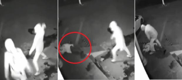 Vídeo mostra ladrão nocauteando comparsa com uma pedrada durante roubo Vídeo mostra ladrão nocauteando comparsa com uma pedrada durante roubo