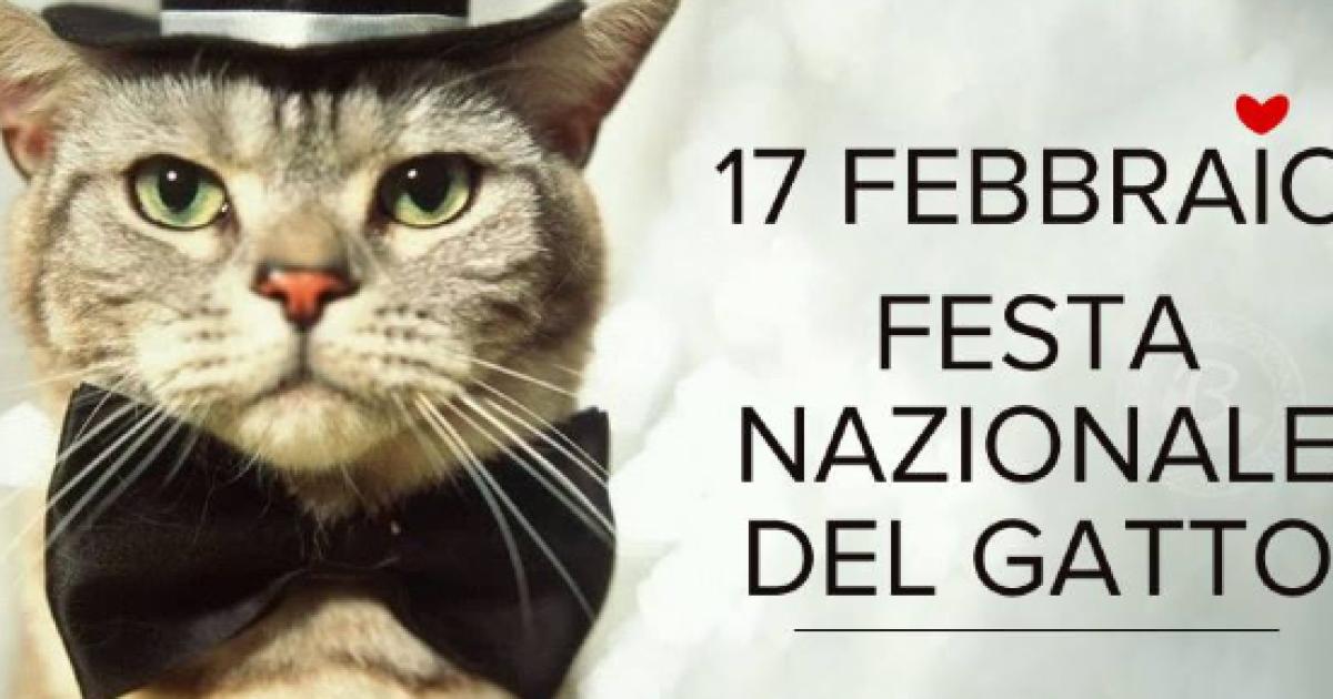 Oggi è la Giornata nazionale dei gatti