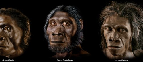 Evoluzione, l'Homo erectus potrebbe essere stato un marinaio