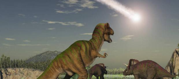 Descobertas e curiosidades sobre a vida dos dinossauros Descobertas e curiosidades sobre a vida dos dinossauros