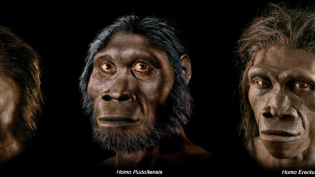 Evoluzione, l'Homo erectus potrebbe essere stato un marinaio