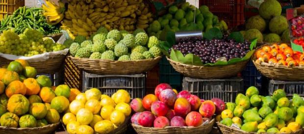 Aprender a disciplinar o organismo é fundamental para uma boa nutrição Aprender a disciplinar o organismo é fundamental para uma boa nutrição
