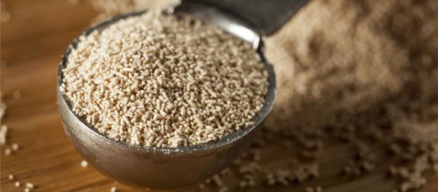 La avena es una gran alternativa para los cultivos. La avena es una gran alternativa para los cultivos.