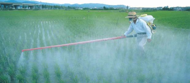 Los fertilizantes ayudan al agricultor. Los fertilizantes ayudan al agricultor.