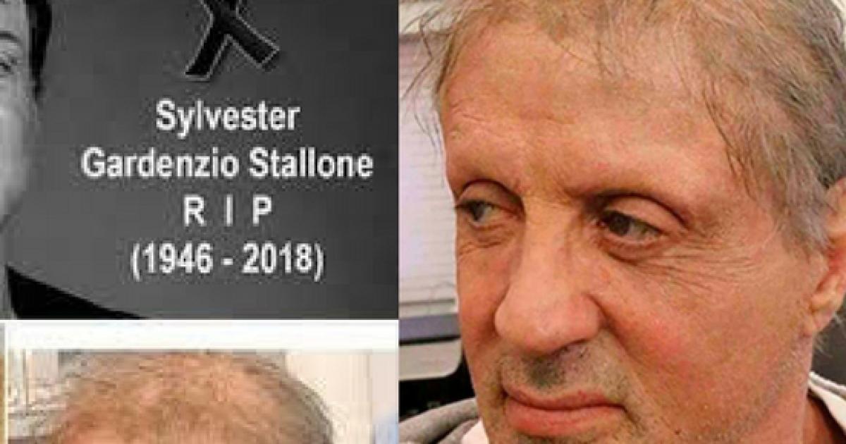 'Sylvester Stallone è morto': la foto shock della bufala in rete