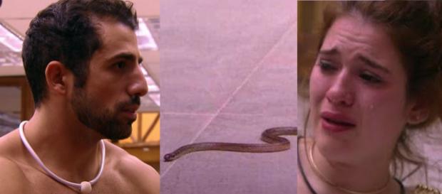 Cobra aparece no BBB18 e desespera parcipantes Cobra aparece no BBB18 e desespera parcipantes
