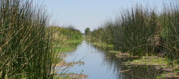 Las aguas residuales de algunas ciudades puede utilizarse. Las aguas residuales de algunas ciudades puede utilizarse.