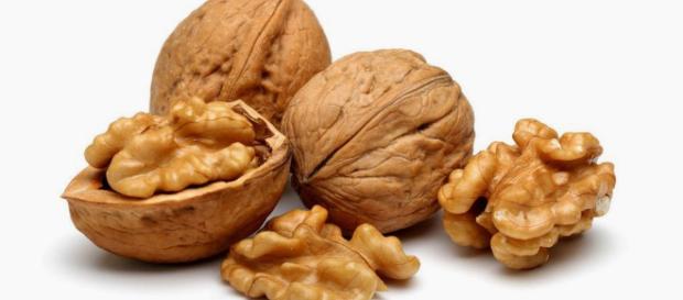 PROPIEDADES DE LAS NUECES - complejob.net PROPIEDADES DE LAS NUECES - complejob.net