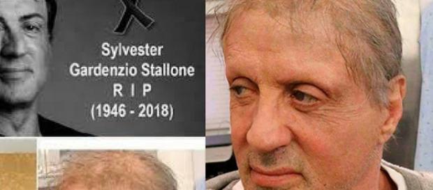 Sylvester Stallone è morto: la notizia che corre veloce sul web Sylvester Stallone è morto: la notizia che corre veloce sul web
