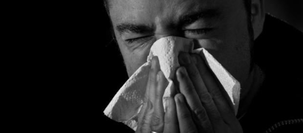 Puedo tener gripe dos veces en un año? Ojo con la 'venganza del ... - lainformacion.com Puedo tener gripe dos veces en un año? Ojo con la 'venganza del ... - lainformacion.com