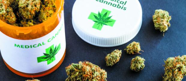 Substâncias encontradas na maconha podem ajudar no tratamento de diversas doenças Substâncias encontradas na maconha podem ajudar no tratamento de diversas doenças