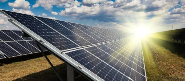Una alternativa que puede ayudar al mundo a ser mas sostenible Una alternativa que puede ayudar al mundo a ser mas sostenible