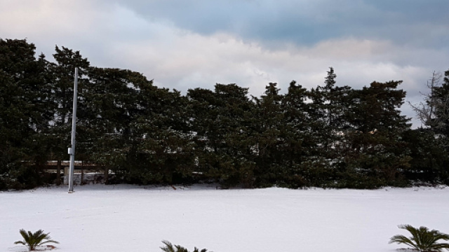 L'evento nevoso dello scorso anno nel Salento.