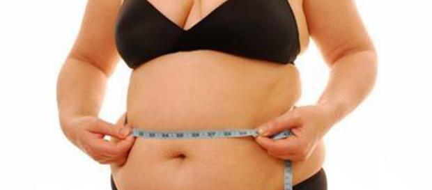 La obesidad es uno de los problemas más preocupantes relacionados con la salud en los países occidentales. La obesidad es uno de los problemas más preocupantes relacionados con la salud en los países occidentales.