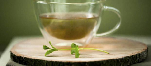Nutrición: Por qué todo el mundo debería desayunar té en lugar de cafe Nutrición: Por qué todo el mundo debería desayunar té en lugar de cafe