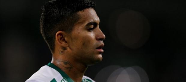Ponta-atacante é astro do elenco alviverde. (Foto Reprodução). Ponta-atacante é astro do elenco alviverde. (Foto Reprodução).