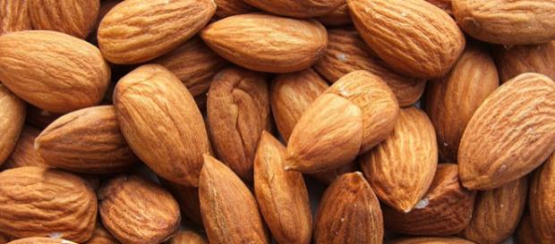 Shelled almonds on display (Image credit – Luigi Chiesa, Wikimedia Commons) Shelled almonds on display (Image credit – Luigi Chiesa, Wikimedia Commons)