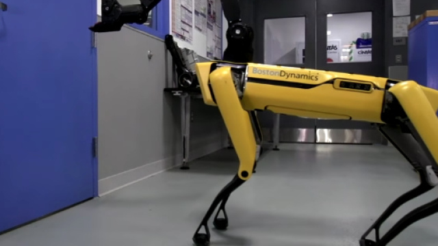 Creato il primo cane robot, fa cose incredibili