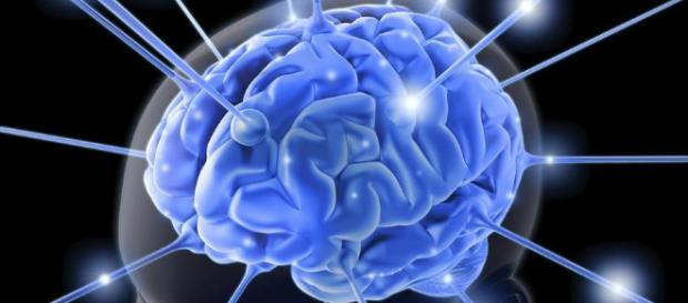alimentos saludables para nutrir tu cerebro - clarin.com alimentos saludables para nutrir tu cerebro - clarin.com