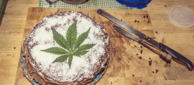 Él cocina una torta 'espacial', la familia termina en el hospital. Él cocina una torta 'espacial', la familia termina en el hospital.