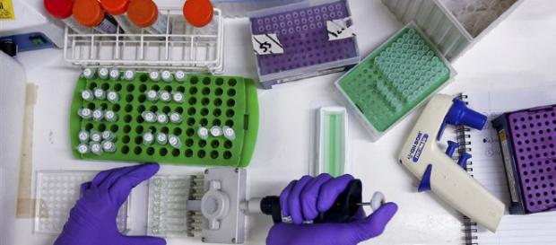 Estudios han demostrado que dejar de fumar resta el cancer Estudios han demostrado que dejar de fumar resta el cancer