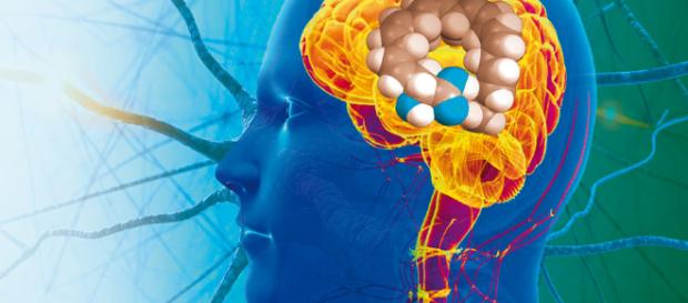 El poder regenerativo del cerebro adulto — DSalud - dsalud.com El poder regenerativo del cerebro adulto — DSalud - dsalud.com